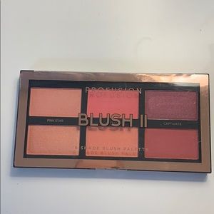 Profusion 6 shade blush palette